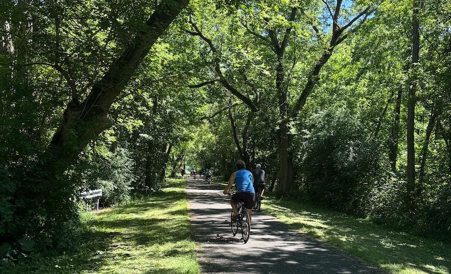 Cyclists riding along the tree-lined Robert McClory Bike Trail